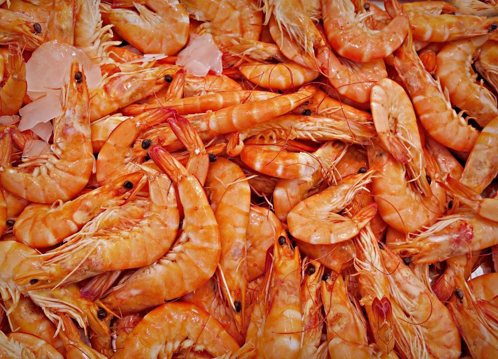 Shrimps The Argentinian shrimp Chinook Quality
